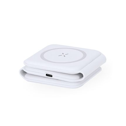 Cargador Multiple Tardim